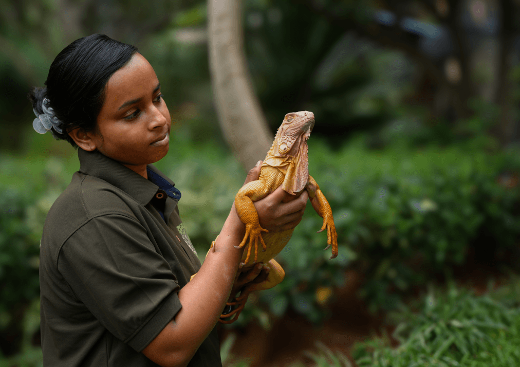 Zoo Animal Keeper - Small Captive Animals